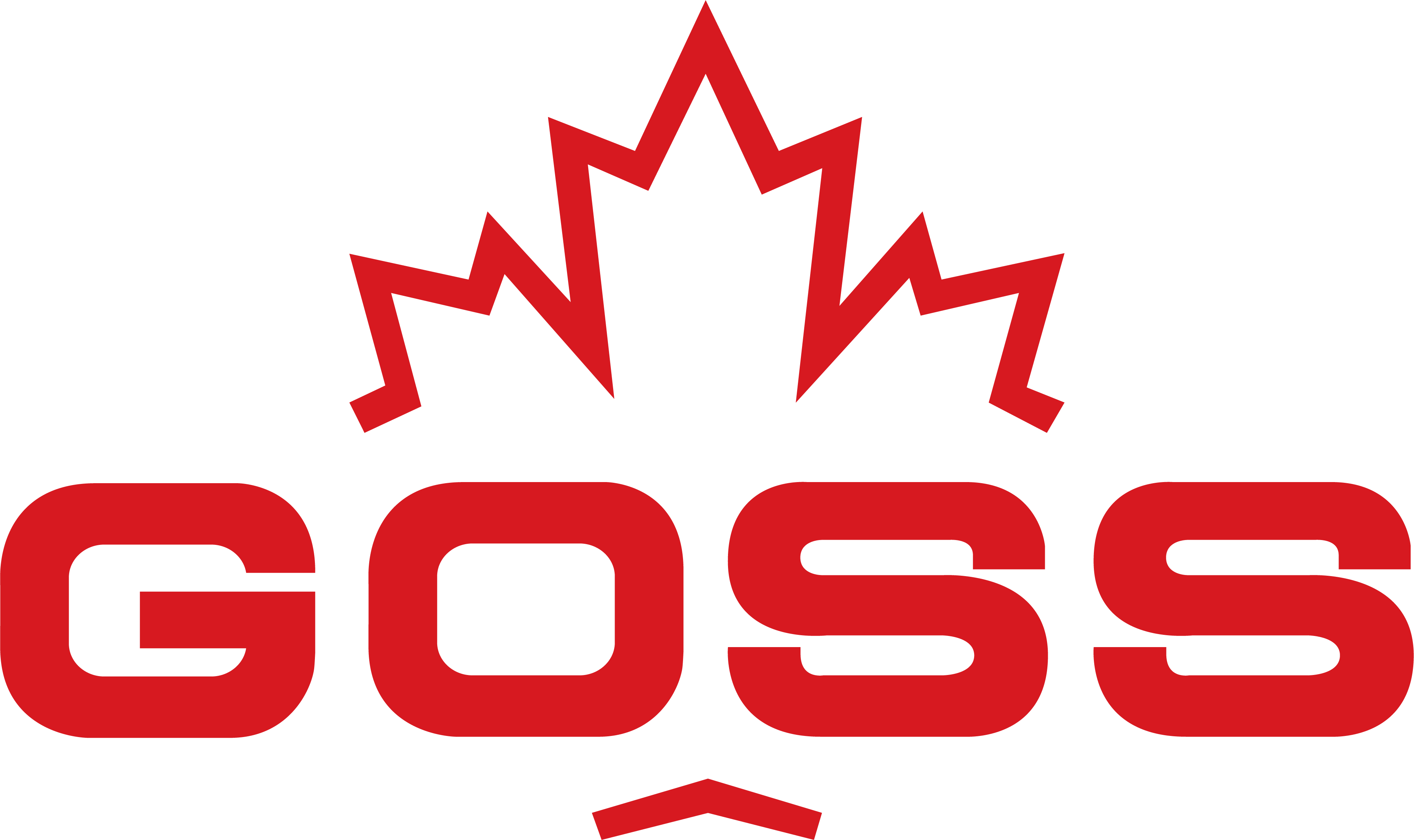 Goss Auto Parts