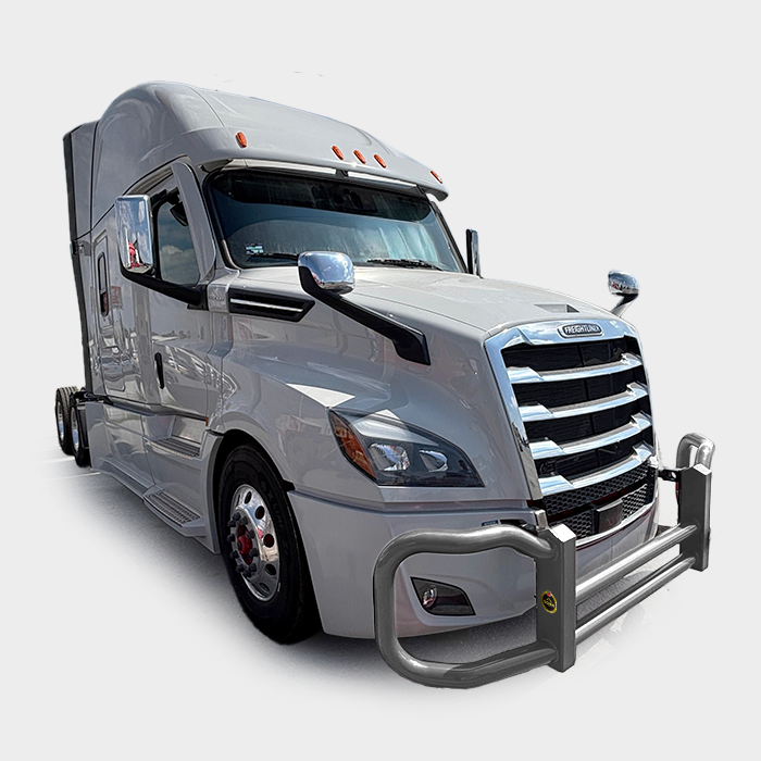 Metallic Gray — Freightliner Cascadia P4 4000 Series grill guard