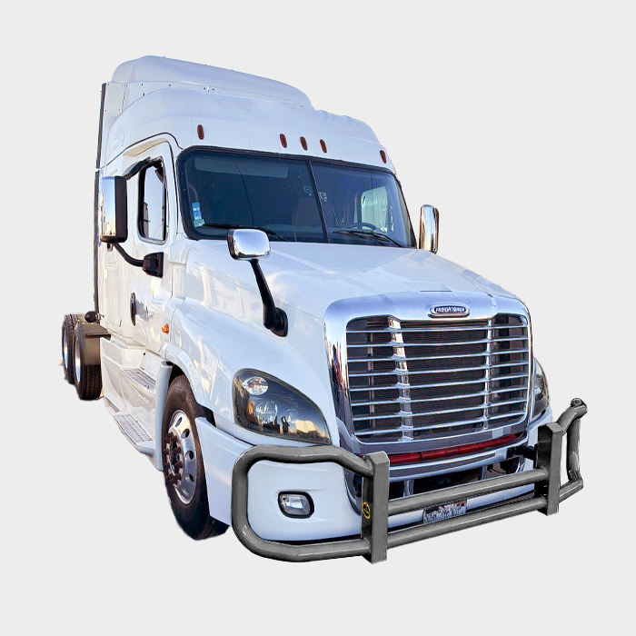 Metallic Gray — Freightliner Cascadia P3 4000 Series grill guard