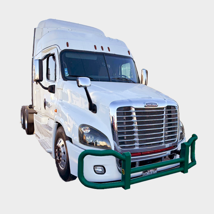 Metallic Green — Freightliner Cascadia P3 4000 Series grill guard