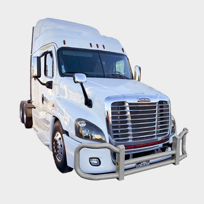 Silver Gray — Freightliner Cascadia P3 4000 Series grill guard